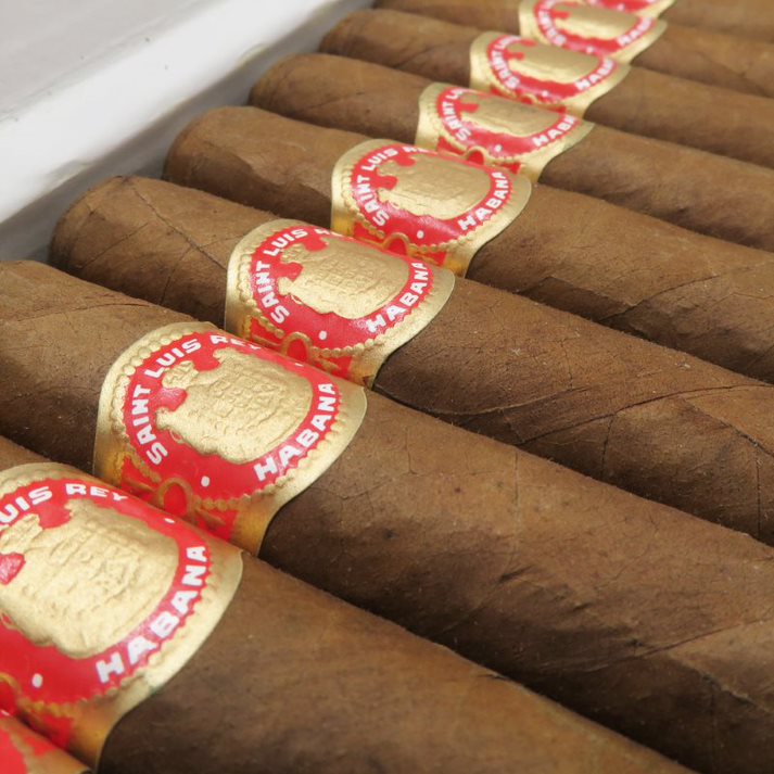Saint Luis Rey Regios